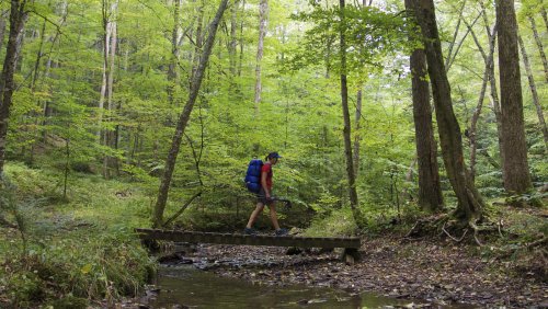 This Quiet, Gorgeously Green State Park Must Be One Of Pennsylvania's Most Underrated