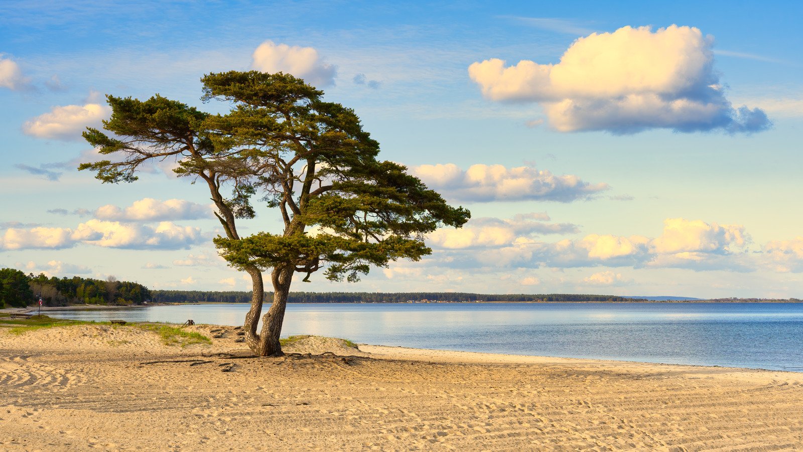 The Seaside European Destination Where You'll Drink The Best Vodka In The Entire World