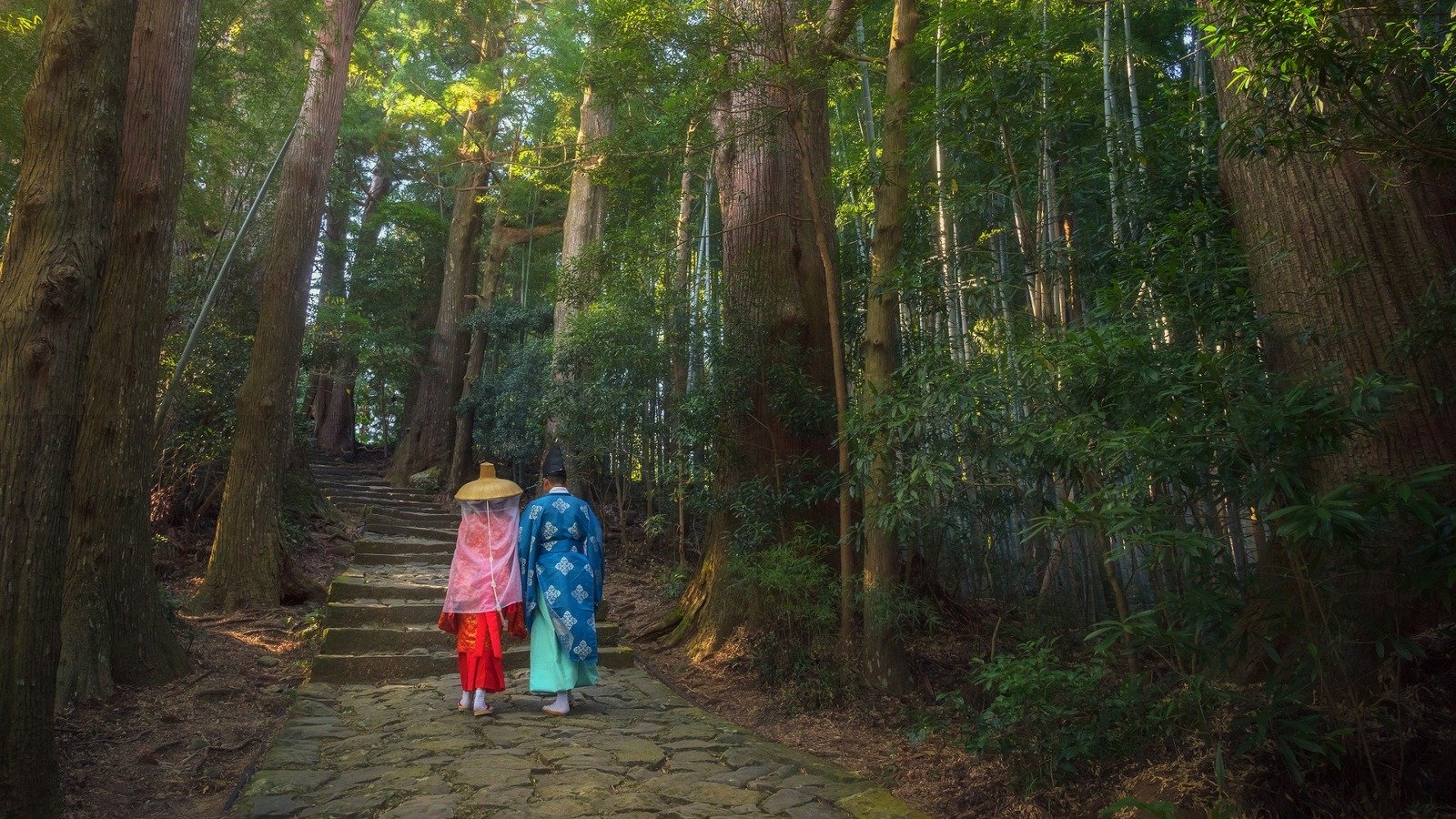 Hike Along This Ancient Trail And Take In Stunning Japanese Forest Views