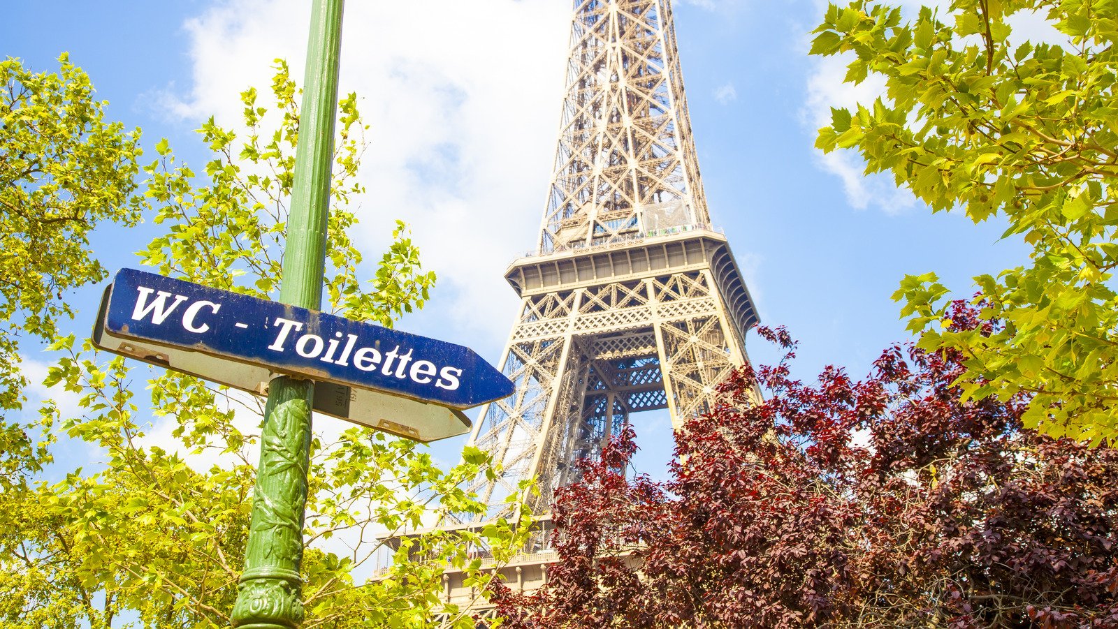 The Bathroom Door Etiquette Rule Tourists Often Break In France