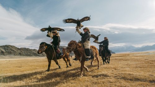 11 Things To Know Before Visiting Mongolia