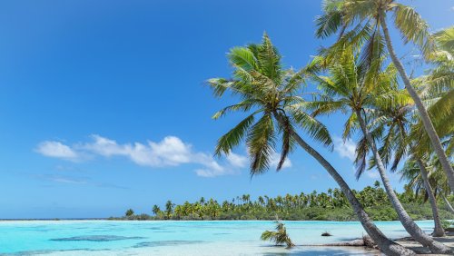 18 Polynesian Islands To Consider For Your Next Tropical Vacation