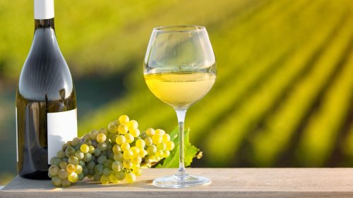 Vineyards Vs. Wineries: What's The Big Difference And Why You Need To Know