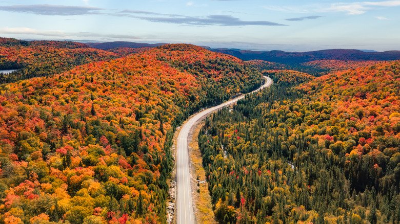 North America's Longest Cross-Country Highway Offers A Coast-To-Coast Road Trip In Canada