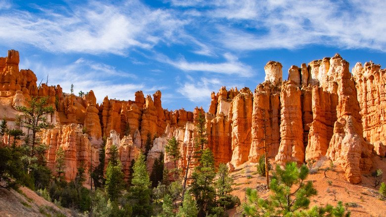 The Most Unique National Parks In America - cover