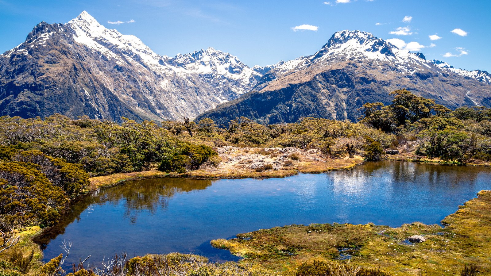 Discover Some Of The Best Of New Zealand's Landscapes On This Trail