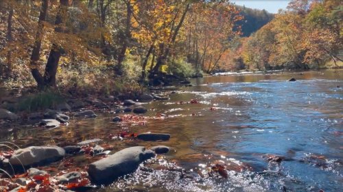 This Lesser-Known National Park On A West Virginia River Offers A Beautiful Trail