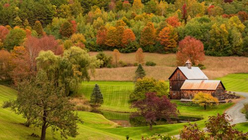 Pooping Influencers Just Ruined Your Fall Trip To Vermont (No, Seriously)