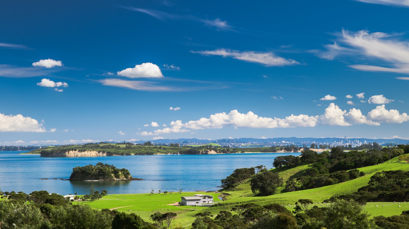 This New Zealand Island Is A Must-Visit Destination For A Wine Vacation