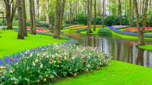 A Flower Haven Featuring Over 7 Million Blossoms Is Known As The 'Garden Of Europe'