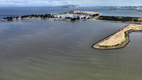 The Scary Wildlife-Related Reason To Not Swim Or Surf In Coastal Waters During A Toxic Algae Bloom