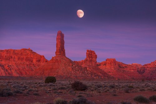 Valley of the Gods: Utah's Best-Kept Secret for Nature Photographers