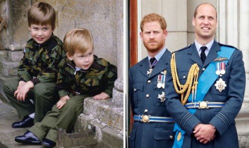 'Harry and William's 'intriguing dissimilarity' as children explained: 'He was crying'