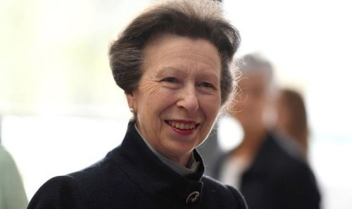 Where did Princess Anne go to school?