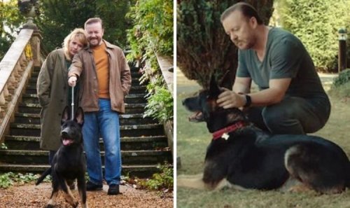 After Life season 3: Ricky Gervais confirms if dog really died after cryptic ending
