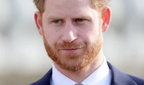 ‘Confused himself!’ Prince Harry’s ex-guard gives best way Duke could fix UK security woe