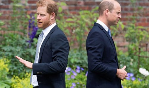Royal fans spot major clue hinting at William and Harry reconciliation