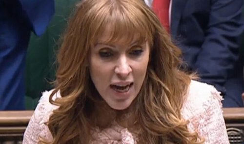 'Blundering Tories got it badly wrong!' Angela Rayner lashes out at Brexit trade plan