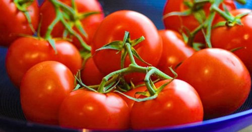 Tomatoes will keep fresher for longer if stored in spot most people avoid