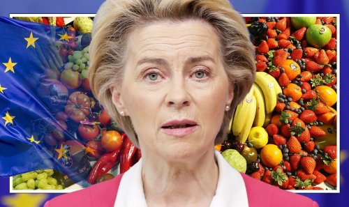 'UK had to leave!' EU red tape unravels as fruit and vegetables riddled with toxins