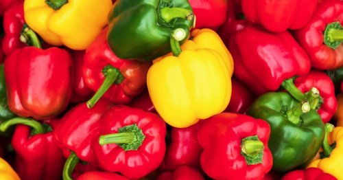 Keep peppers firm and fresh for 5 weeks with simple food storage tip