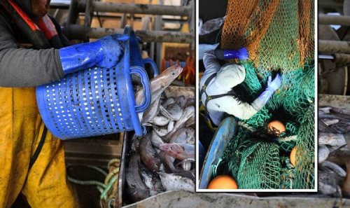 Fishing fury: New Brexit deal means 1,600 EU boats can plunder British water for 2021