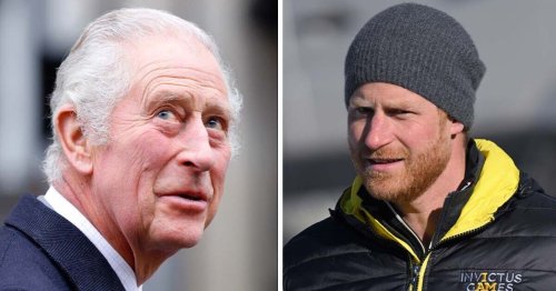 Harry 'caught off guard' with 'no specific direction' after Charles visit