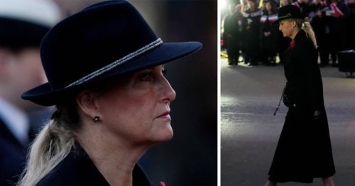 Duchess Sophie steps in for King Charles during poignant event