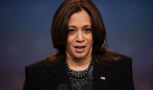 Joe Biden appoints Kamala Harris to tackle migrant border crisis - ‘Huge problem’