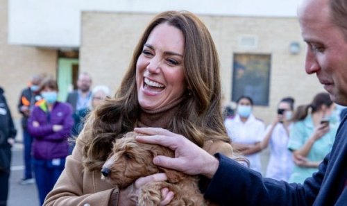 'So sweet!' Kate delights fans with rare insight into Cambridge family's home life