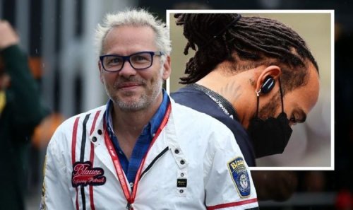 Jacques Villeneuve sticks knife into Lewis Hamilton in F1 title battle - 'I see fatigue'
