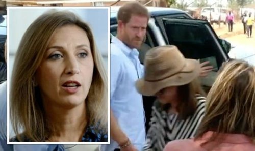 'Don't behave like this!' Prince Harry lashed out at Sky reporter 'Kicked the wasps' nest'