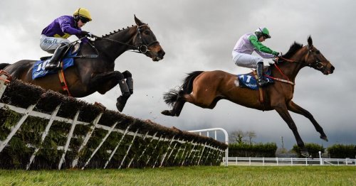 Irish Grand National 2025 tips with 10/1 to upset Now Is The Hour at Fairyhouse
