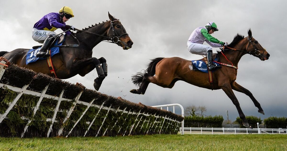 Irish Grand National 2025 tips with 10/1 to upset Now Is The Hour at Fairyhouse