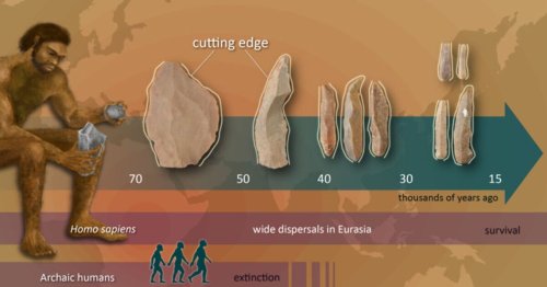 Theory of human evolution could be rewritten after incredible discovery