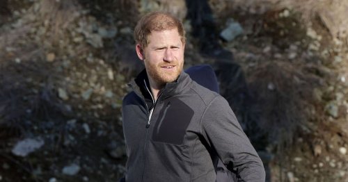 Prince Harry’s TV interview was swayed by outside influences, says PR and royal