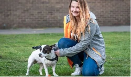 Loving little dog' saves owner in horror late night knife attack in Essex