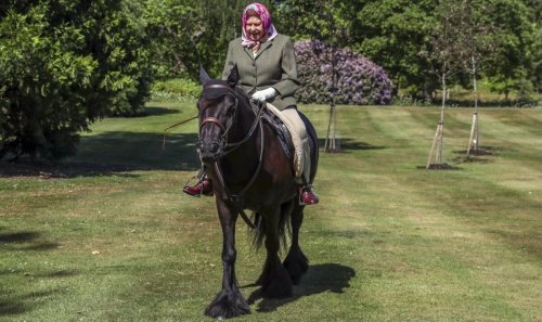 'Pretty remarkable' Queen is riding beloved horses again in incredible comeback