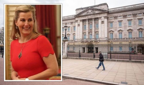 Sophie Wessex’s unprecedented access to Buckingham Palace: ‘Had own room!’