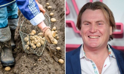 David Domoney shares tips on best veg to grow in April - including potatoes