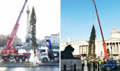 'Pathetic' Trafalgar Square Christmas tree from Norway sparks backlash