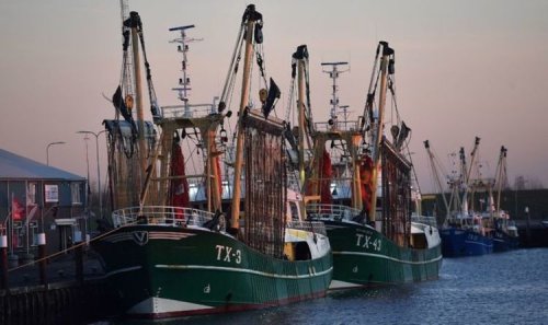 EU waging fishing war as fly-shooting could put UK industry on brink of collapse