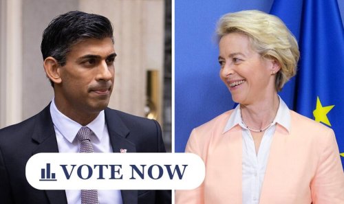 Which sort of Brexit deal do YOU think Rishi Sunak should pursue?