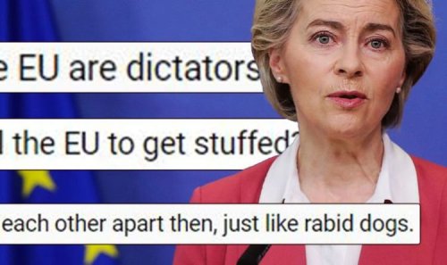 'Get stuffed!' Britons furious as EU drags 23 nations to court for not obeying rules