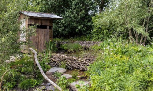 Rewilding Britain garden with rusty corrugated iron-roofed shed WINS Chelsea Flower Show