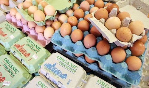 'Dumping ground' Food price crisis means UK could soon rely on lower-standard Polish eggs