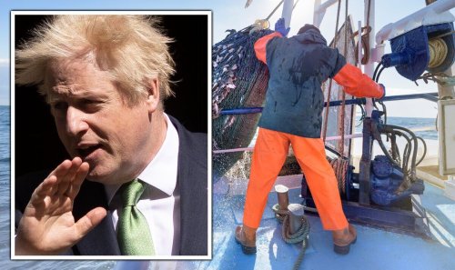 Furious ex-Brexit MEP savages Boris for allowing 1,700 EU vessels to 'hammer' UK waters