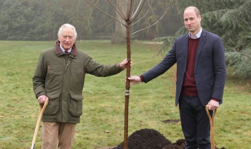 Charles and William plant tree in memory of late Queen
