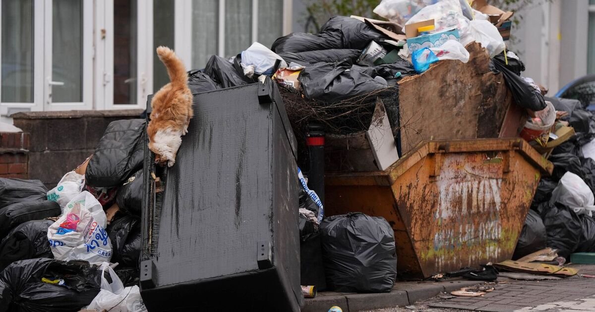 'I've got the perfect solution to stop trade unions creating disgusting mess'