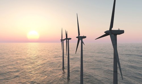 Energy crisis win-win: New North Sea wind project can help restore Britain's biodiversity